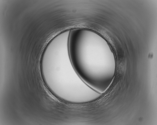 X0000097900389200803141011