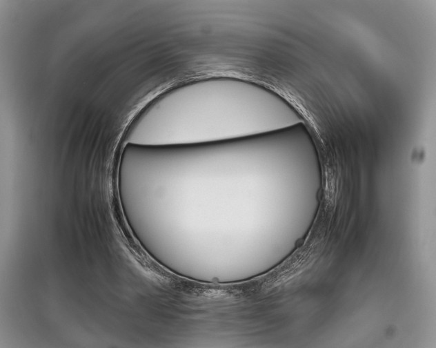 X0000097900390200803141011