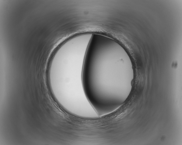 X0000097900391200803141011