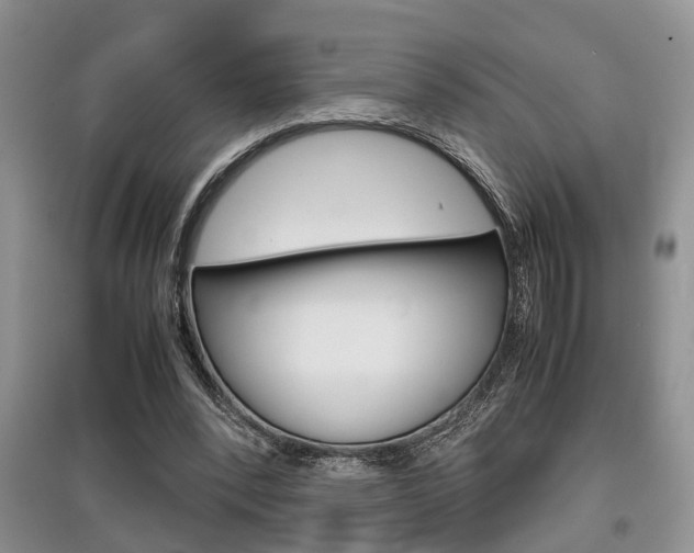 X0000097900392200803141011