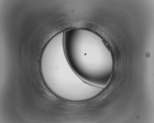 X0000097900393200803141011