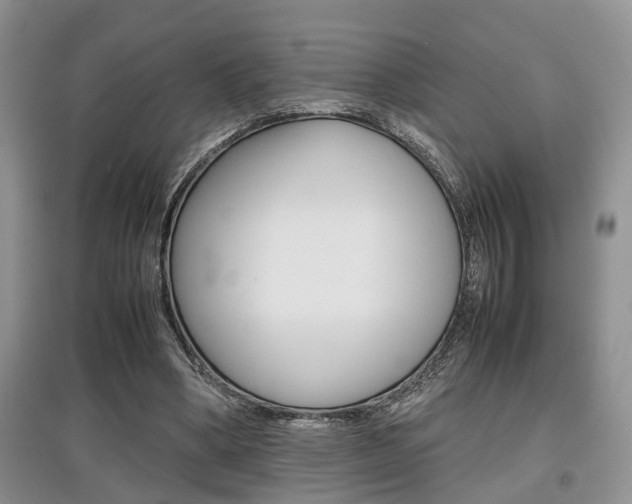 X0000097900394200803141011