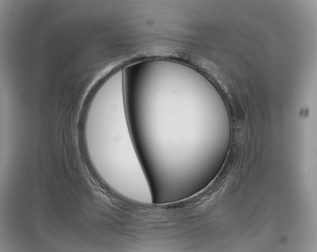 X0000097900395200803141011