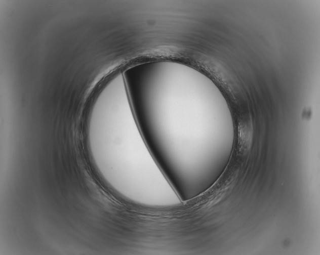 X0000097900396200803141011