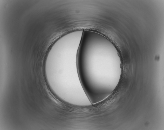 X0000097900397200803141011