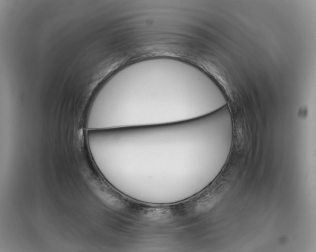 X0000097900398200803141011