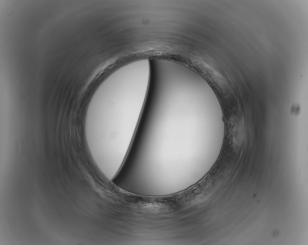 X0000097900400200803141011