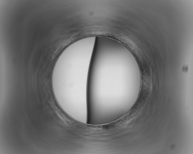 X0000097900401200803141011