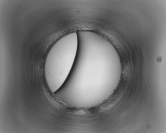 X0000097900402200803141011
