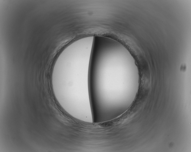 X0000097900403200803141011