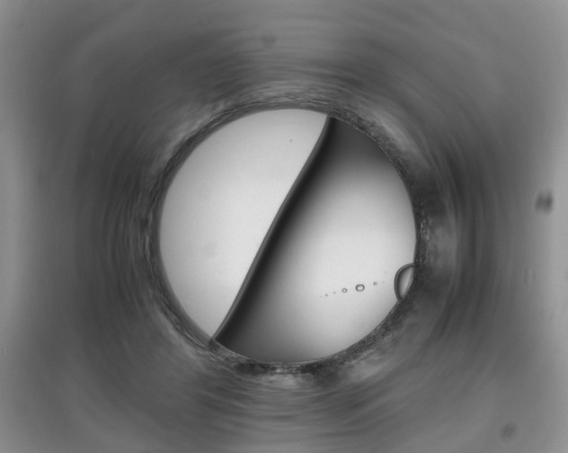 X0000097900404200803141011
