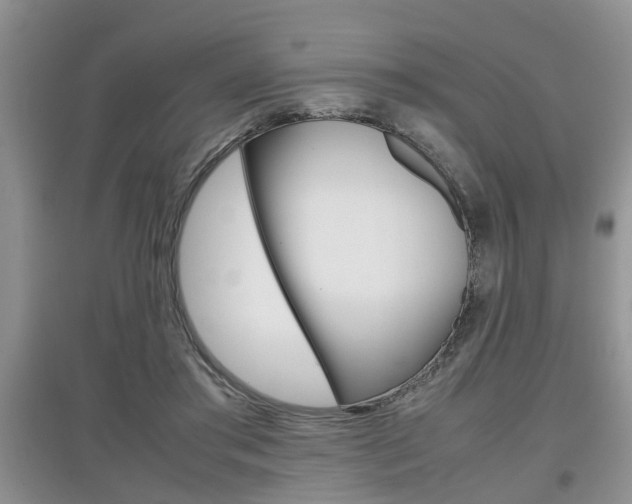 X0000097900405200803141011