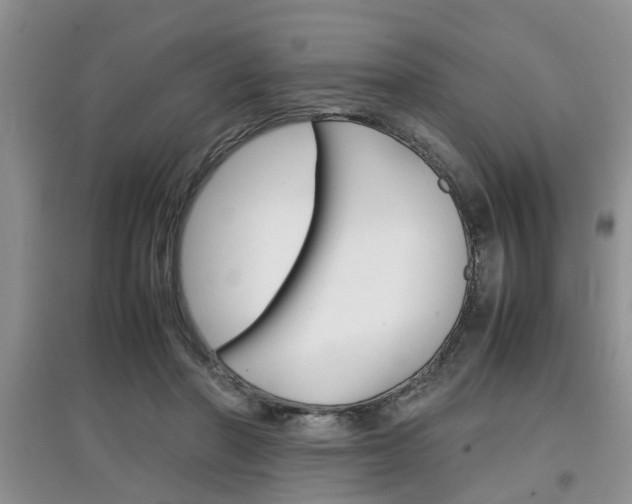 X0000097900406200803141011