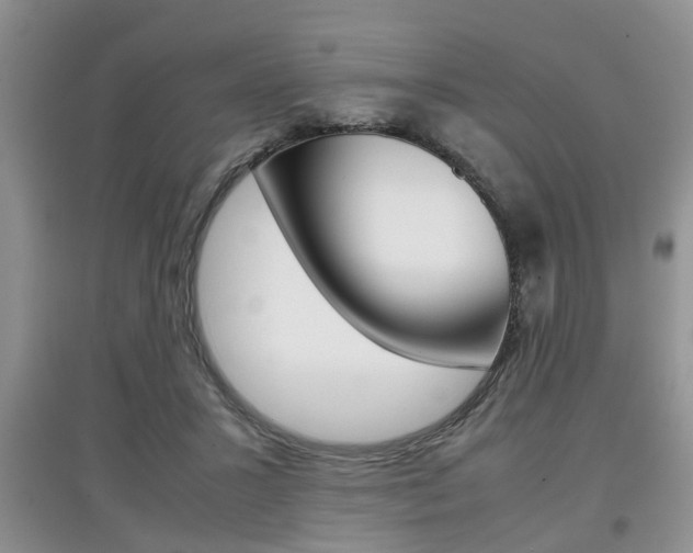 X0000097900407200803141011