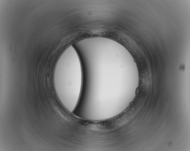 X0000097900408200803141011