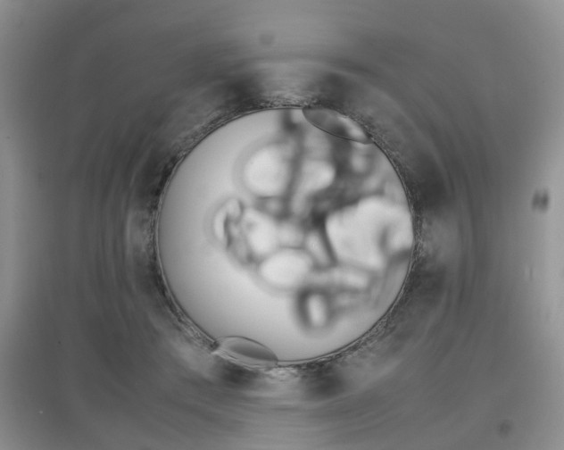 X0000097900409200803141011