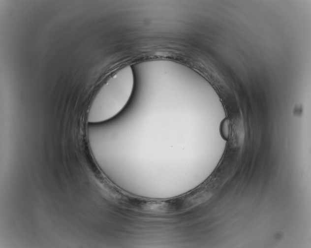 X0000097900410200803141011