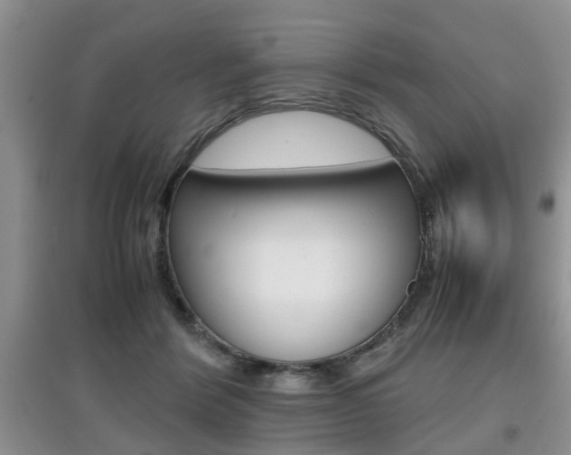 X0000097900412200803141011