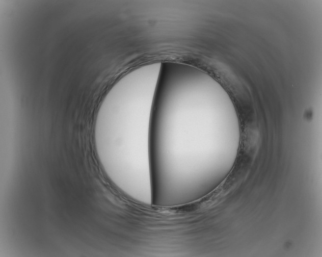 X0000097900413200803141011