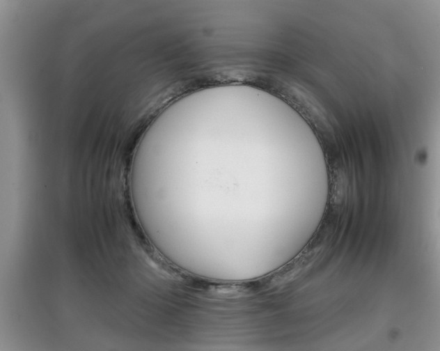 X0000097900414200803141011