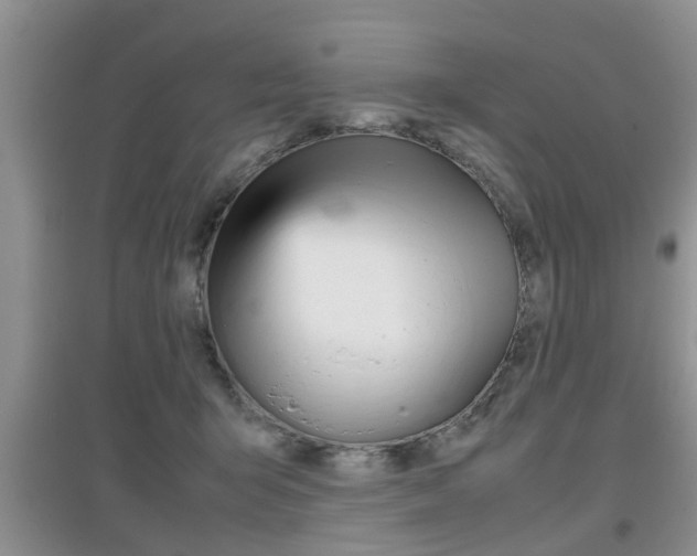 X0000097900415200803141011