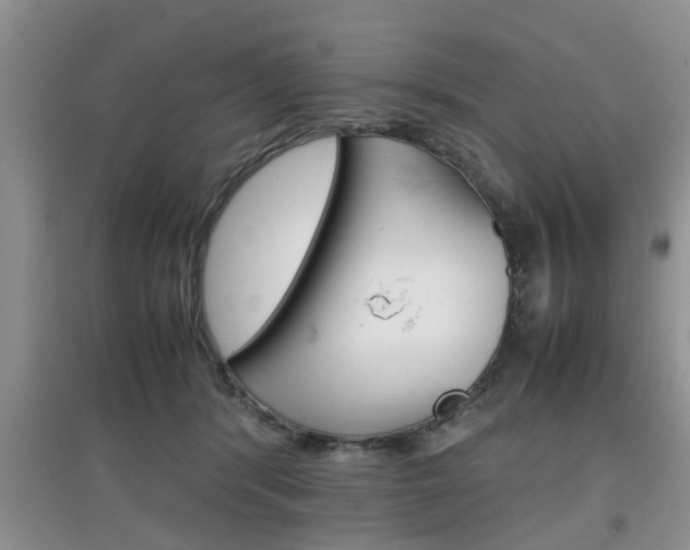 X0000097900416200803141011