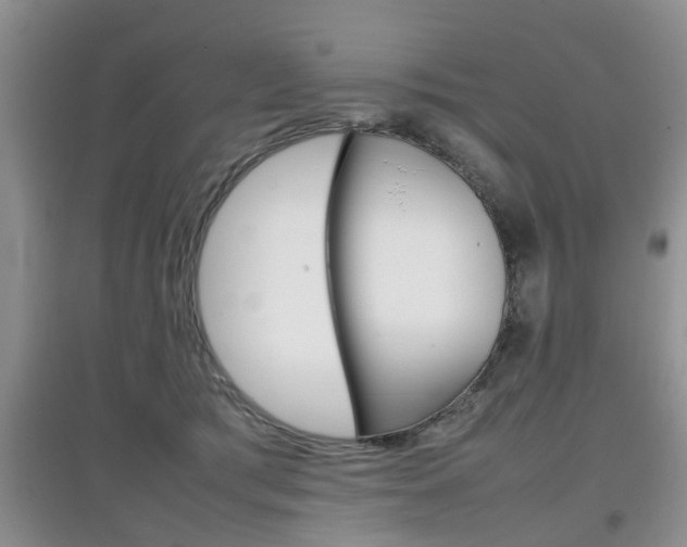 X0000097900417200803141010