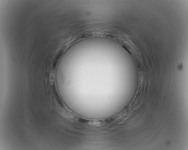 X0000097900419200803141010