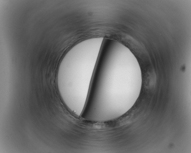 X0000097900420200803141010