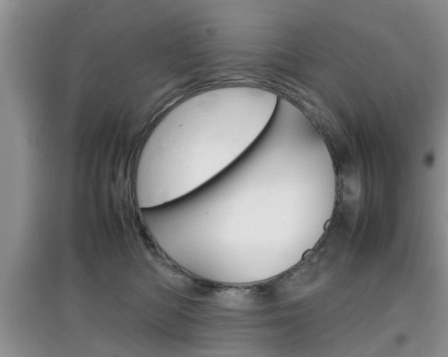 X0000097900422200803141010