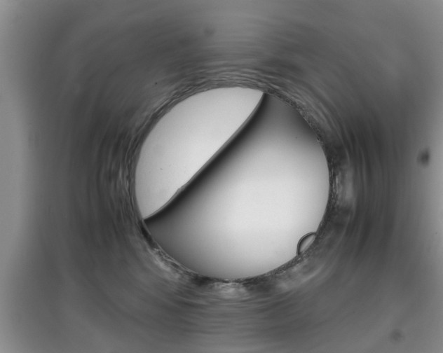 X0000097900424200803141010