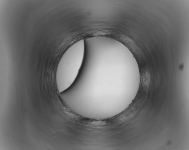 X0000097900426200803141010