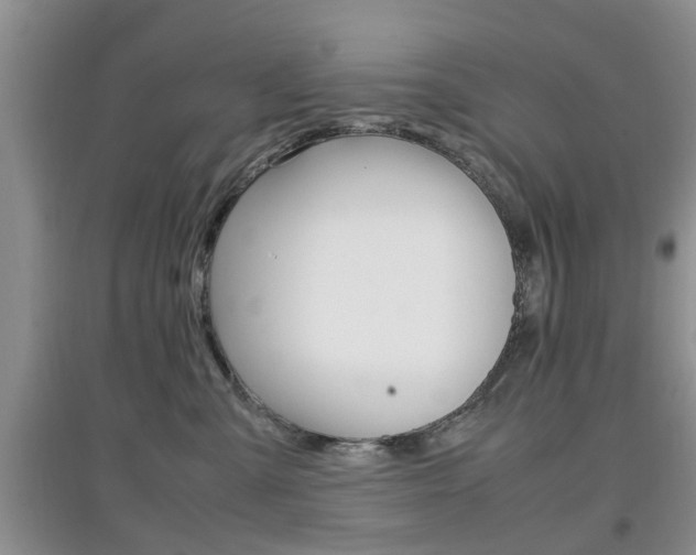 X0000097900427200803141010