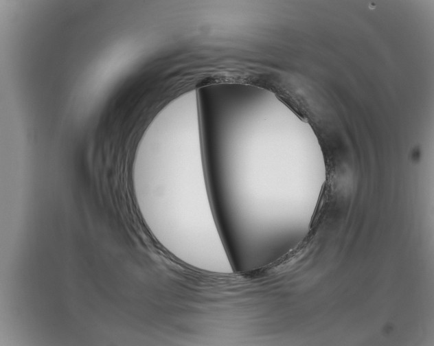 X0000097900429200803141010