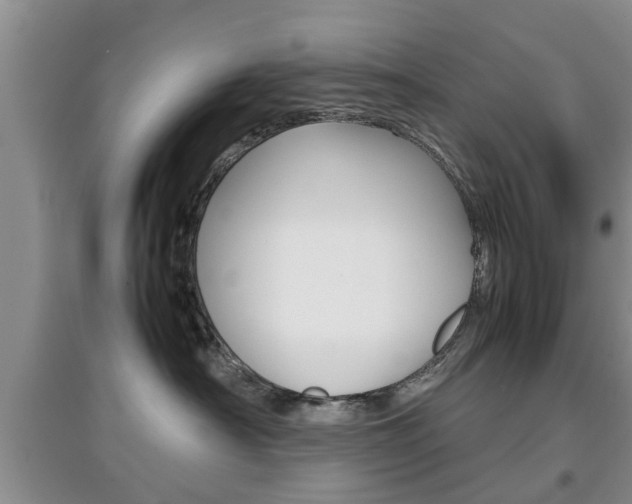 X0000097900430200803141010