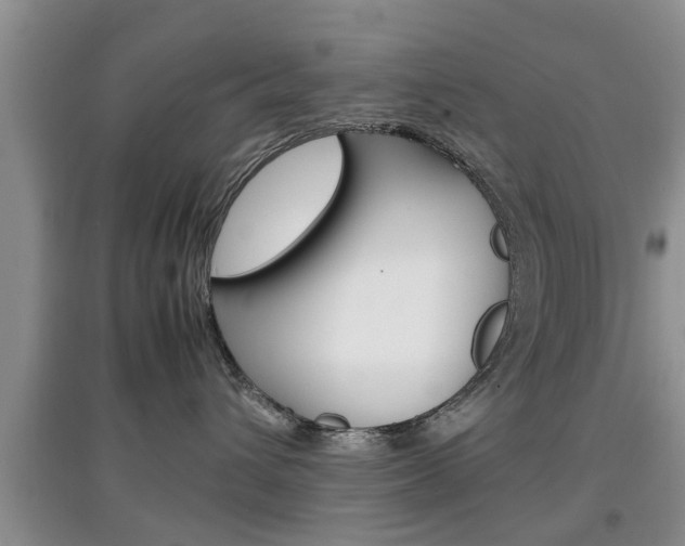 X0000097900432200803141010