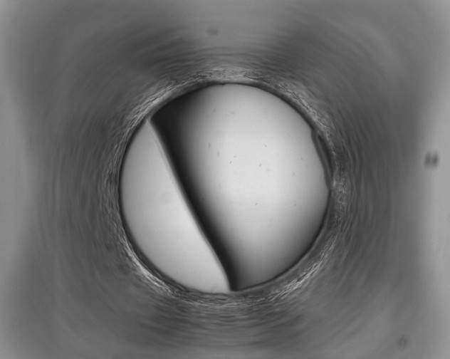 X0000097900433200803141009