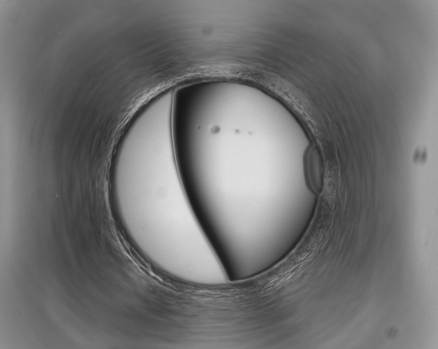 X0000097900434200803141009