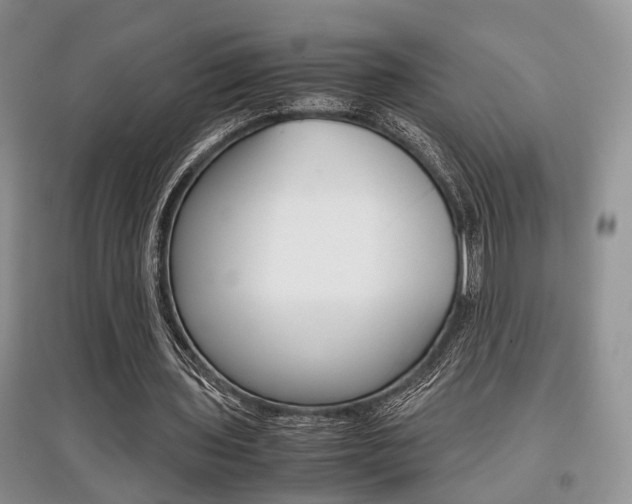 X0000097900435200803141009