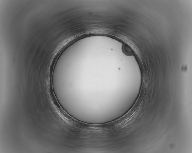 X0000097900437200803141010