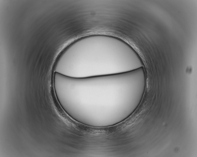 X0000097900438200803141010