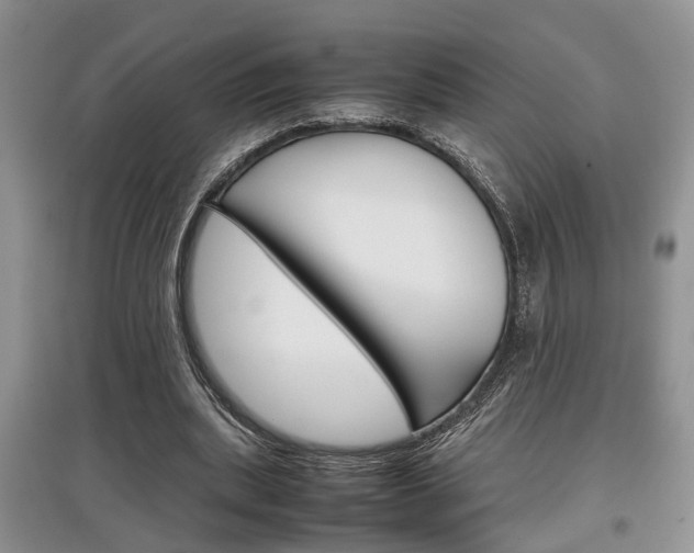 X0000097900439200803141010