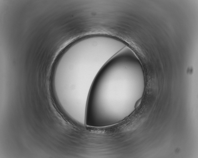 X0000097900440200803141010