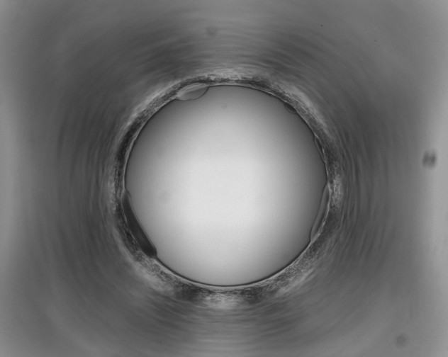 X0000097900444200803141010