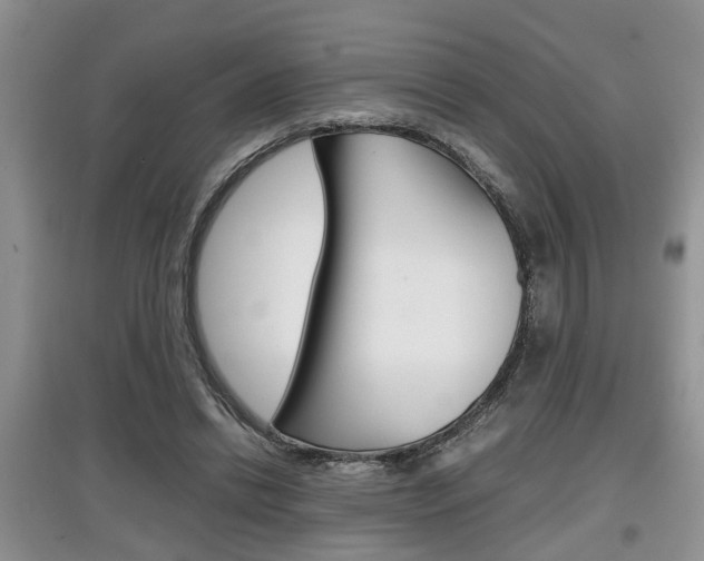 X0000097900446200803141010