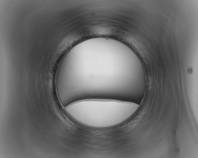 X0000097900447200803141010