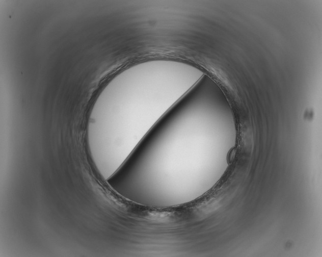 X0000097900450200803141010