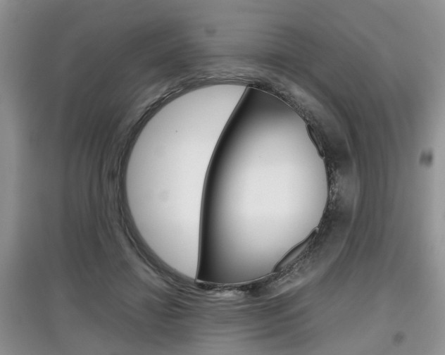 X0000097900452200803141010