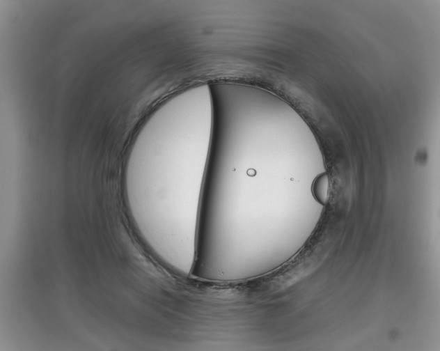 X0000097900454200803141010
