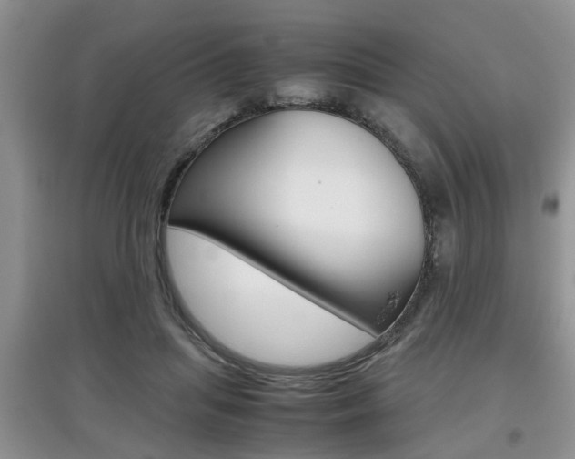 X0000097900455200803141010